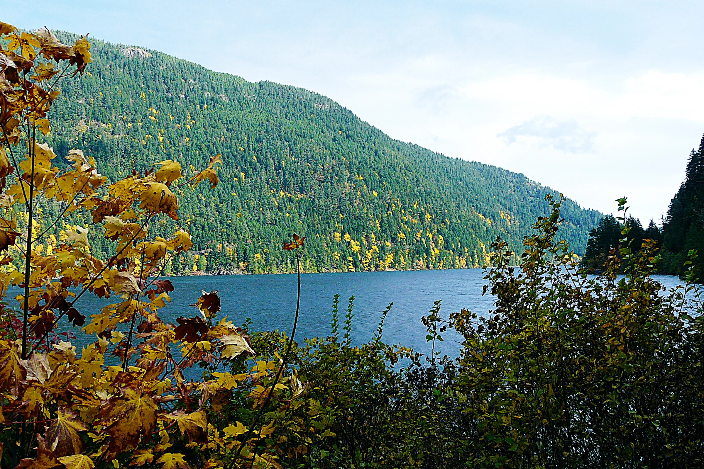Port_Alberni,_British_Columbia[1].webp